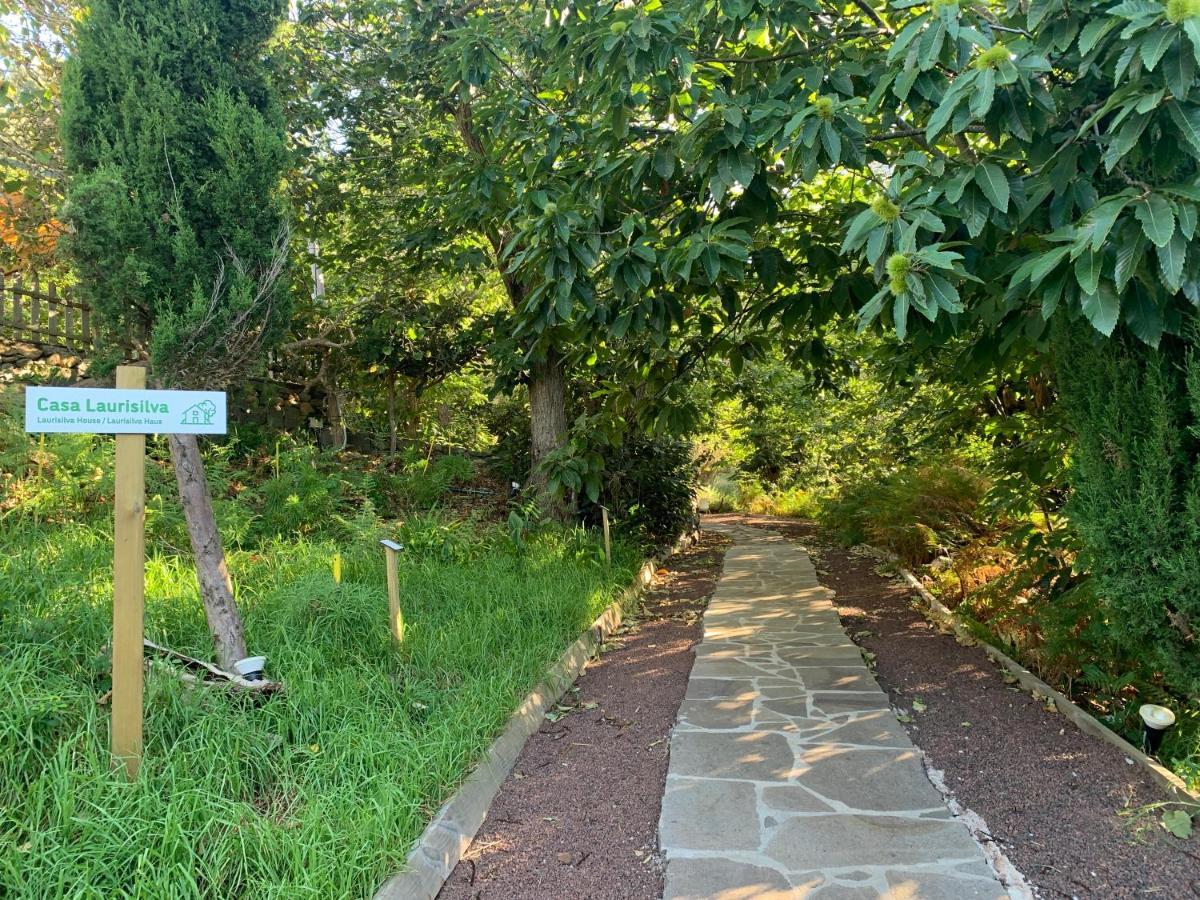 Finca El Roque Tegueste Kültér fotó