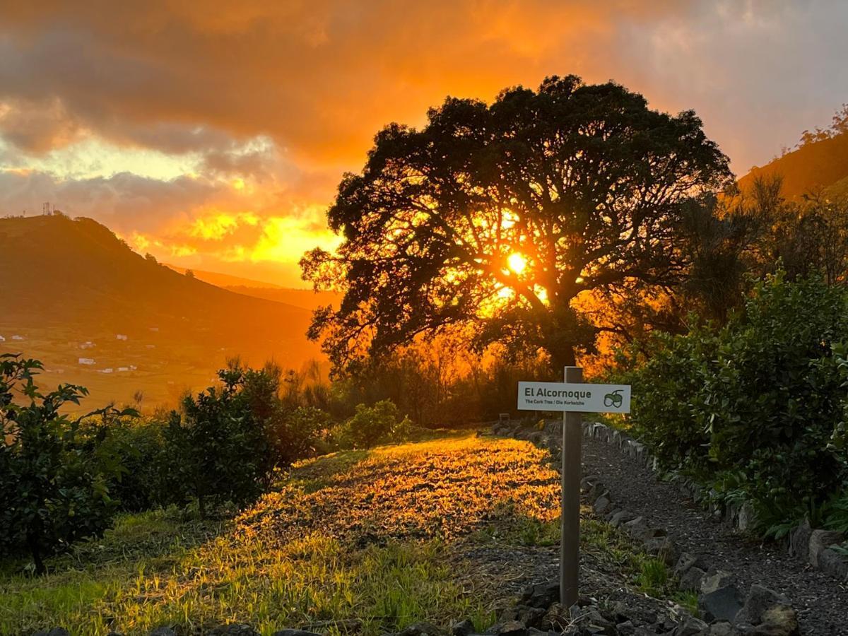 Finca El Roque Tegueste Kültér fotó